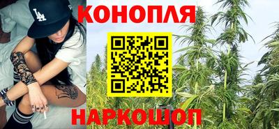 крисы Дубна