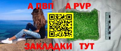 стаф Малгобек