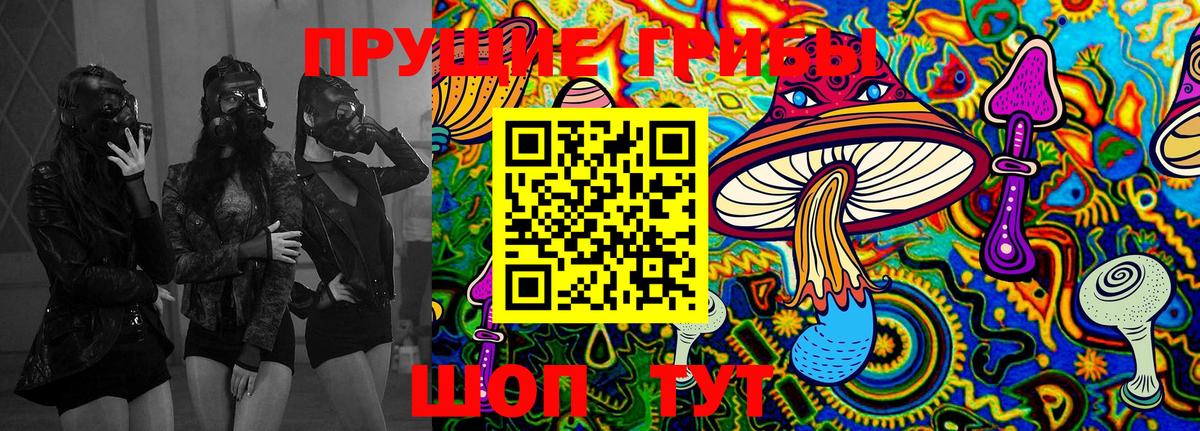 Псилоцибиновые грибы Magic Shrooms  Галлюциногенные грибы Psilocybine cubensis  Вольск  Вход с VPN 